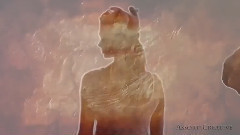 音乐短片 - Distorted Love