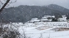 音乐短片 - Yuki Wa Furu (Сакура под снегом, Tombe La Neige) 1964