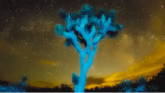Club for Five - Äitien äidit (National Park Poetry)