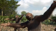 Coldplay - Adventure Of A Lifetime