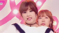 Apink - 花瓣占卜 & Remember