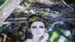 音乐短片 - Golden Autumn