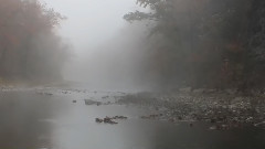 音乐短片 - November