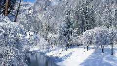 音乐短片 - 深冬漫步