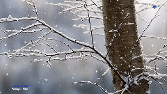 音乐短片 - Goodbye Autumn, Welcome Winter