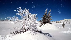 音乐短片 - 暖冬的故事