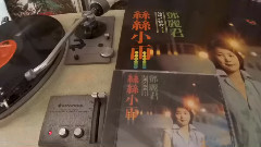 邓丽君 - 细细小雨