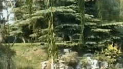 音乐短片 - 南屏晚钟