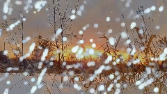 音乐短片 - ПРОСТО СМОТРИ