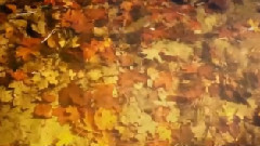 音乐短片 - 无题