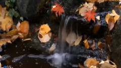 音乐短片 - 抉择