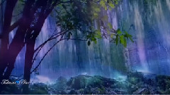 音乐短片 - 莲的心事