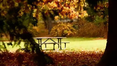 音乐短片 - 暮色