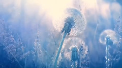 音乐短片 - 山路