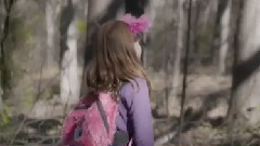 音乐短片 - Summoner's Call from League of Legends on STL Ocarina