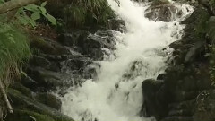 音乐短片 - 非别离