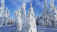 音乐短片 - Зимушка