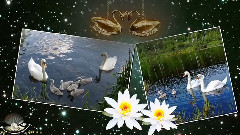 音乐短片 - ТАНТРА РАСТВОРЕНИЕ В ЛЮБВИ