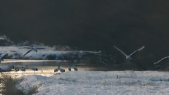 音乐短片 - Elegant elegant