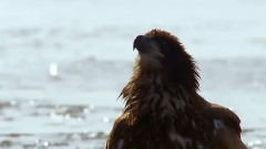 音乐短片 - It In The Snow