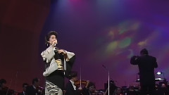 藤彩子 - 雪 深深