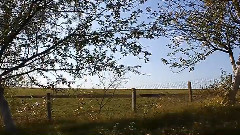 音乐短片,风景 - Autumn Extravaganza