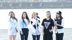The Ark - The Light