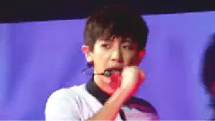 朴灿烈(EXO),EXO - Play Boy