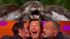 Benedict Cumberbatch - 本尼迪克特.康伯巴奇,约翰尼.德普把水獭玩儿坏了!