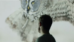Will Young - What The World Needs Now Is Love (WWF Campaign)
