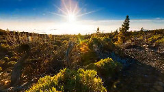 音乐短片 - 音乐短片