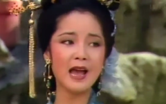 邓丽君 - 虞美人