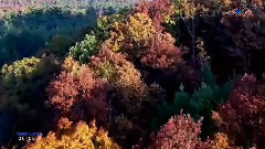 音乐短片 - OCTOBER