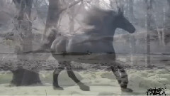 音乐短片 - Message For The Queen