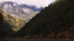 音乐短片 - 雾起时