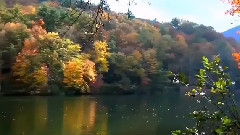 音乐短片 - 艺术品