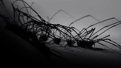 音乐短片 - The Death of An Insect