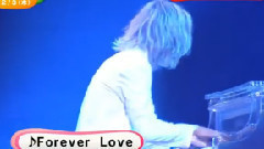 X-Japan - 20年ぶりツアー 15/12/03