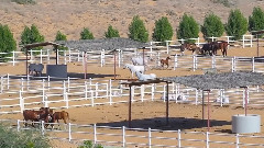 音乐短片 - UAE Ajman Stud Timelapse Hyperlapse