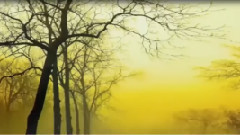 音乐短片 - 下雨时你会想起谁