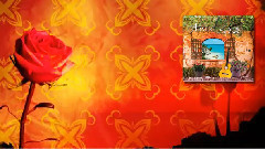 音乐短片 - La Vida Preview