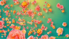 音乐短片 - Guitarra Del Amor