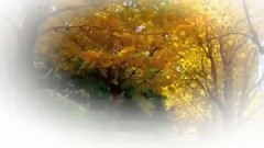 音乐短片 - 一个人的时光