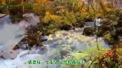 音乐短片 - 感恩歌