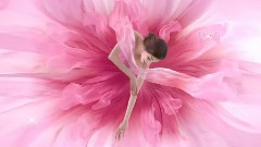 音乐短片 - Minuetto