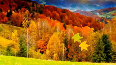 音乐短片 - с поезията на Пепа Николова