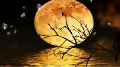 音乐短片 - Красотата на жълтата луна!