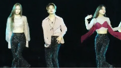 f(x),Krystal(f(x)),Luna(f(x)),Amber(f(x)) - 4 Walls