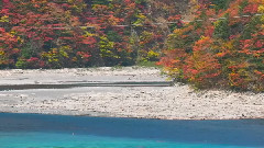 音乐短片 - 七色に色づく畑薙湖の紅葉