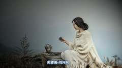 华语群星,音乐短片 - 芙蓉雨